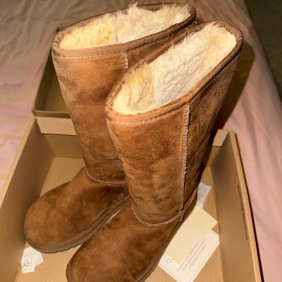 Ugg Australia boots. Tall style chestnut color - Picture 2 of 7